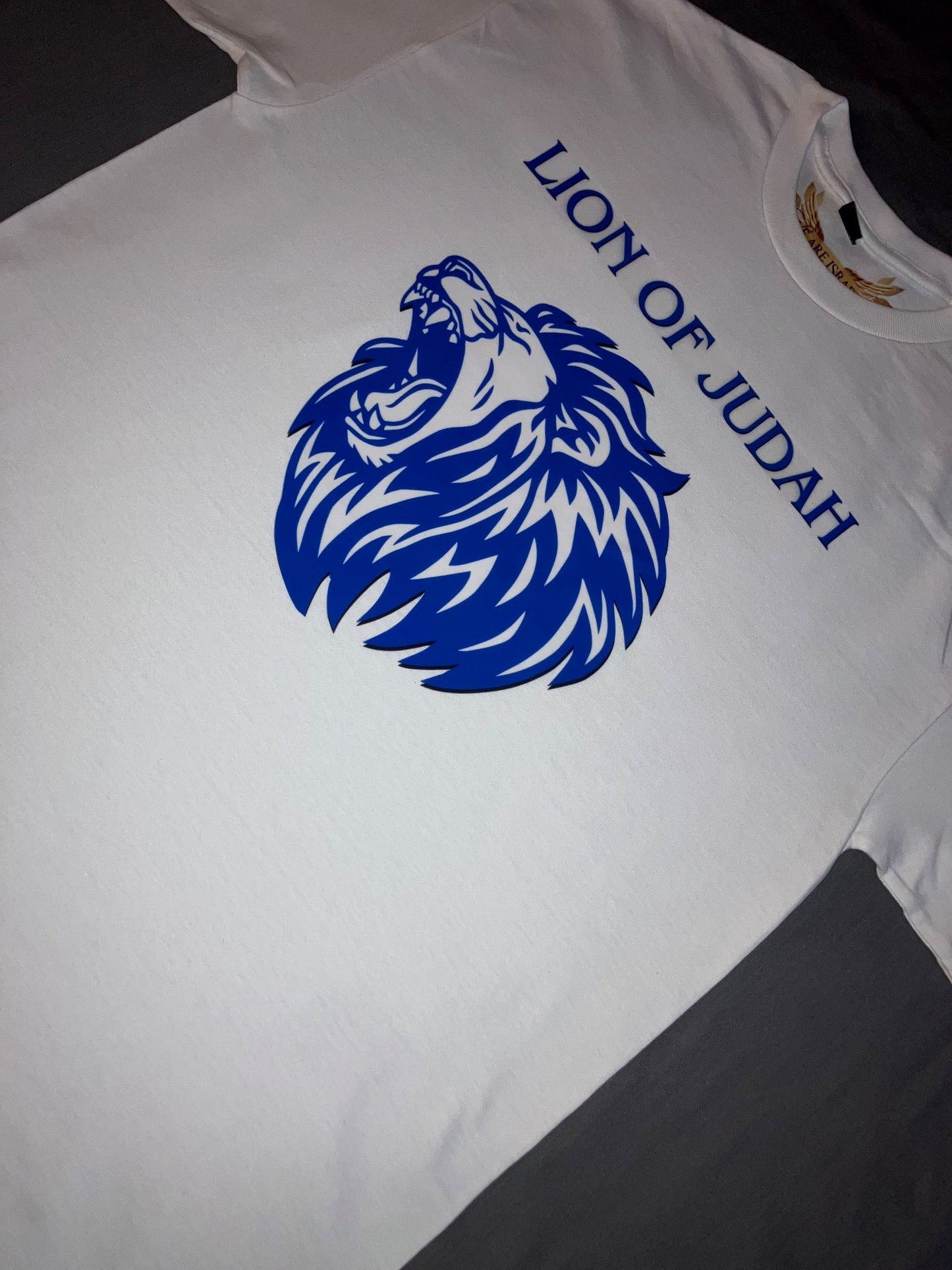 Men's Lion of Judah tee (blue)